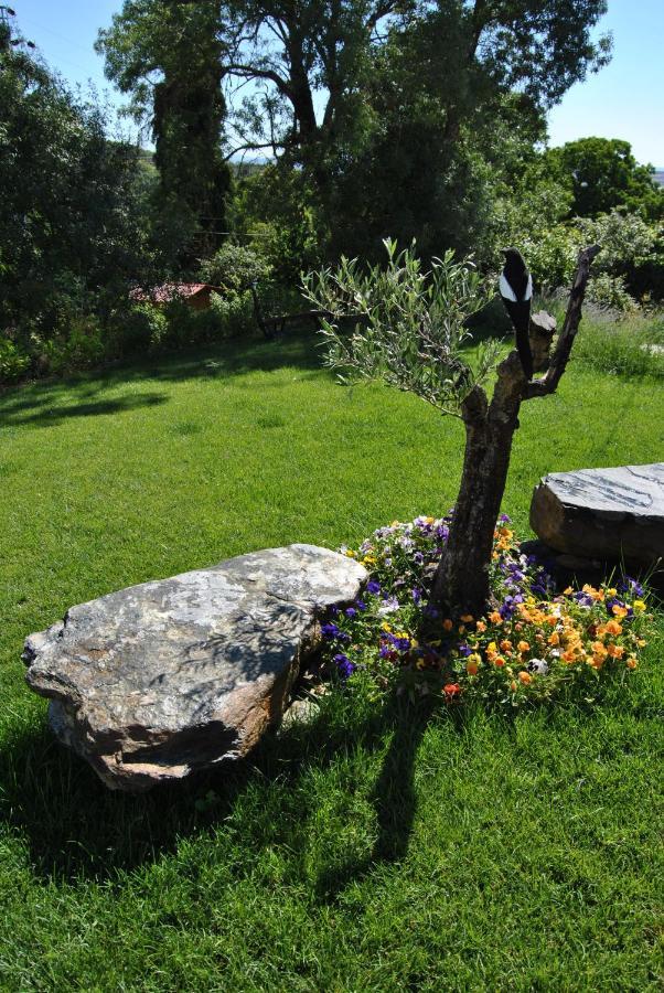 Villa Alformil à Bragance Extérieur photo